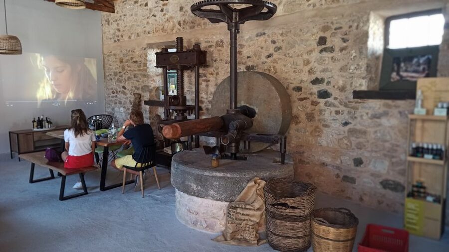 Kalamata: The Olive Oil Routes Tour - The guides make the difference