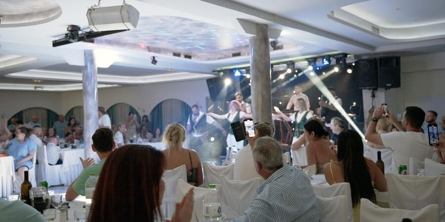 Kamari: Greek Show, Buffet Dinner, and Drinks at Dimitris - Plate smashing and the good-luck ritual