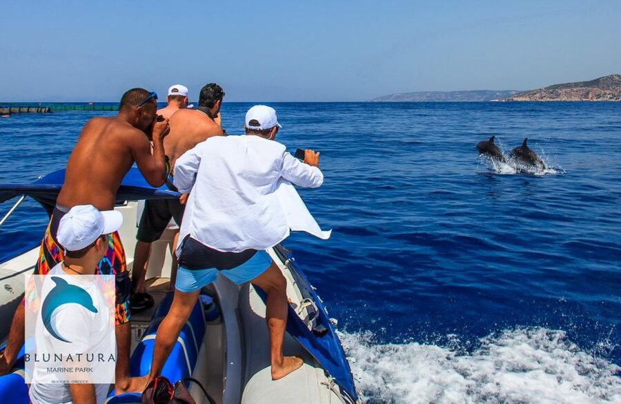 Kamiros Skala : Marine Life Experience & Alimia Island - Practical details before you reserve