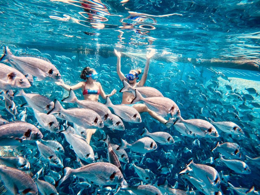 Kamiros Skala : Marine Life Experience & Alimia Island - Alimia Island gives the day its breathing space