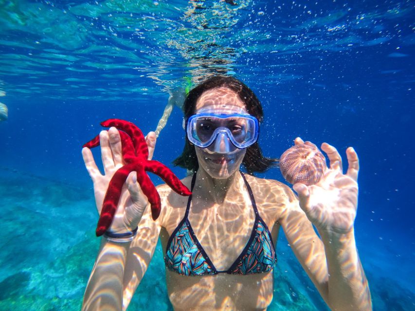 Kamiros Skala : Marine Life Experience & Alimia Island - Is $176 a fair price?