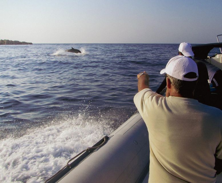 Kamiros Skala : Marine Life Experience & Alimia Island - Who should book this boat trip?