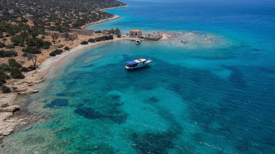 Kamiros Skala : Marine Life Experience & Alimia Island - What the marine biologist adds
