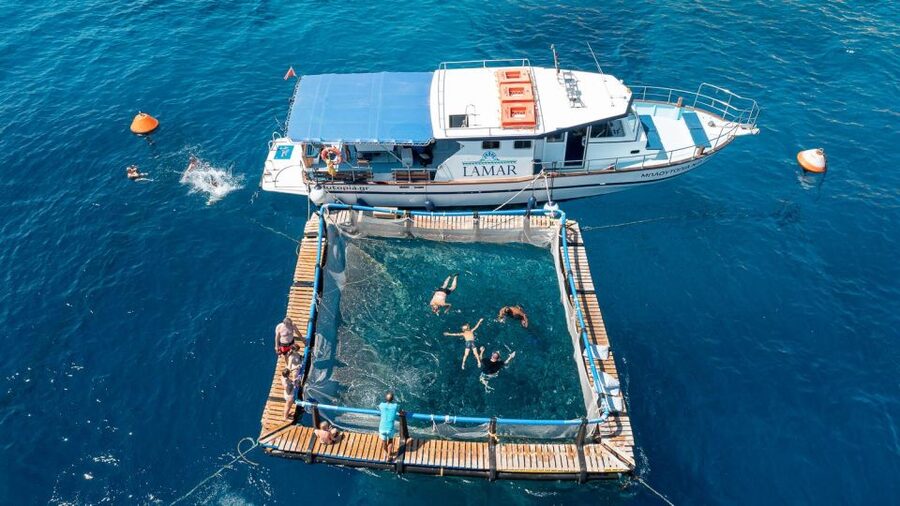 Kamiros Skala: Marine Life Experience by Boat - Key Details At A Glance