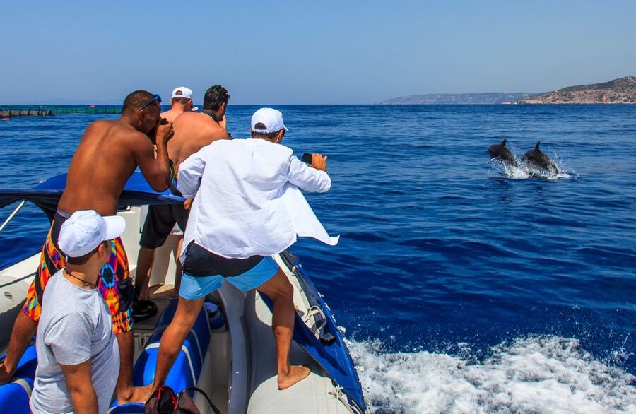 Kamiros Skala: Marine Life Experience by Boat - Who Should Book This Experience