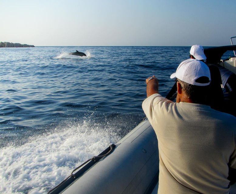 Kamiros Skala: Marine Life Experience by Boat - Why This Boat Trip Feels Different From A Standard Rhodes Excursion