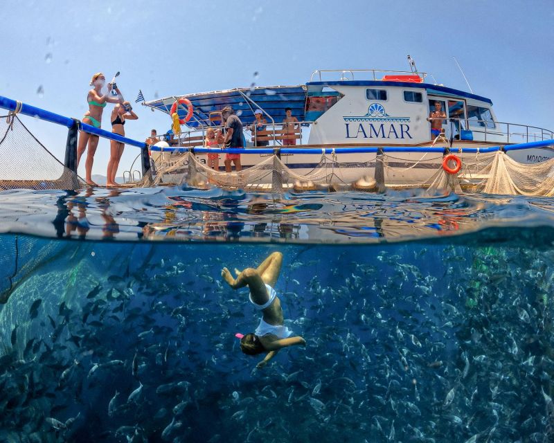 Kamiros Skala: Marine Life Experience by Boat - The Wild Tuna Encounter