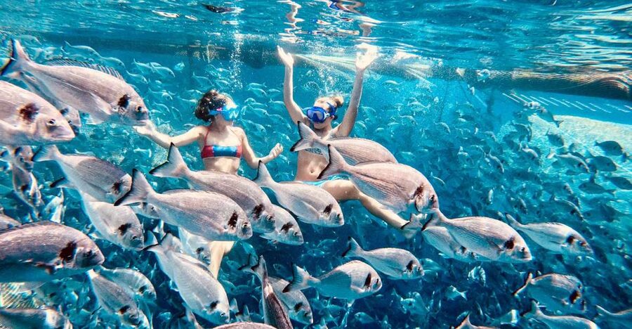 Kamiros Skala: Marine Life Experience by Boat - What The $106 Price Includes