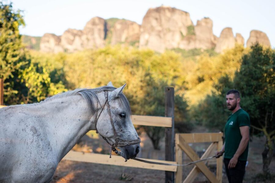 Kastraki: Meteora Morning Horse Riding with Monastery Visit - Is $88 a Fair Price?