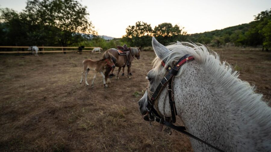 Kastraki: Meteora Sunset Horseback Riding - Arriving at the stables in Kastraki
