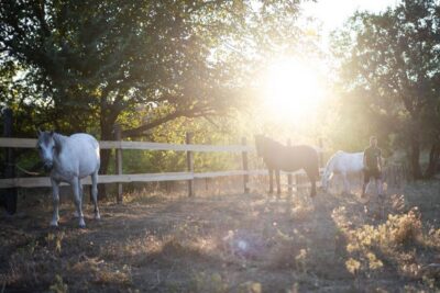 Kastraki: Meteora Sunset Horseback Riding