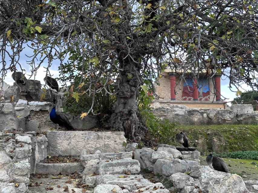 Knossos Palace Skip-the-Line Ticket & Private Guided Tour - What the $247 group price really buys