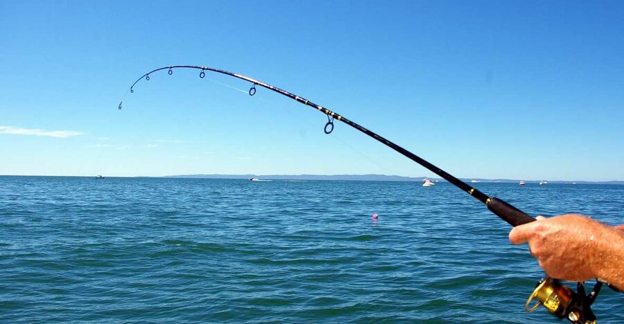 Kos: Fishing Trip Experience with a Greek Fisherman's Family - Key things to know before you book