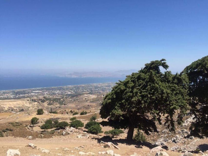 Kos: Full-Day Jeep Safari with Lunch - Why this Kos safari is worth considering
