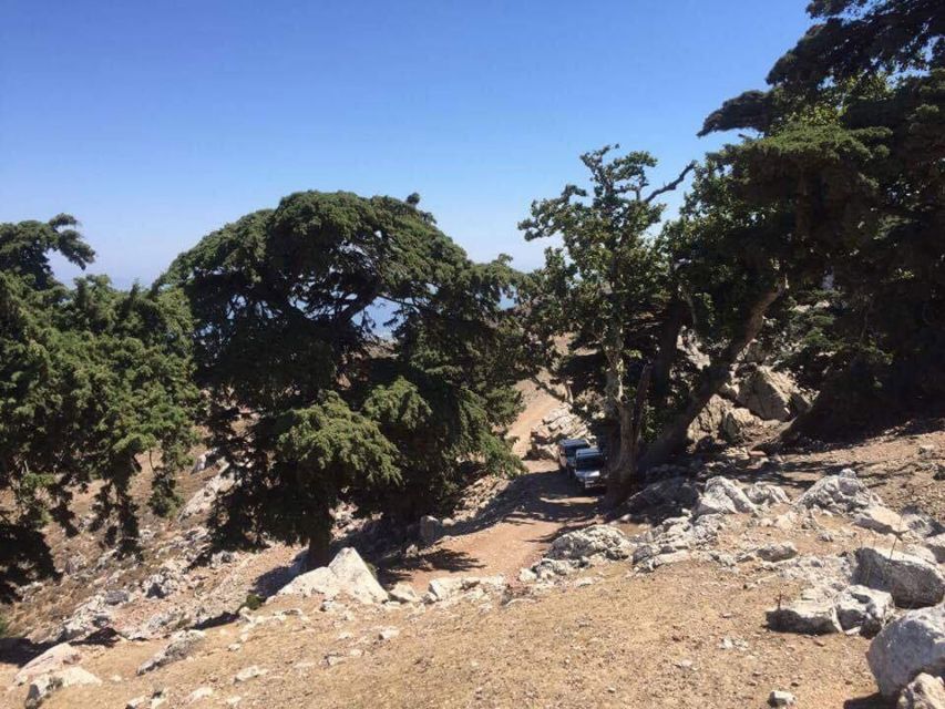 Kos: Full-Day Jeep Safari with Lunch - Mount Dikaios and Profitis Ilias chapel