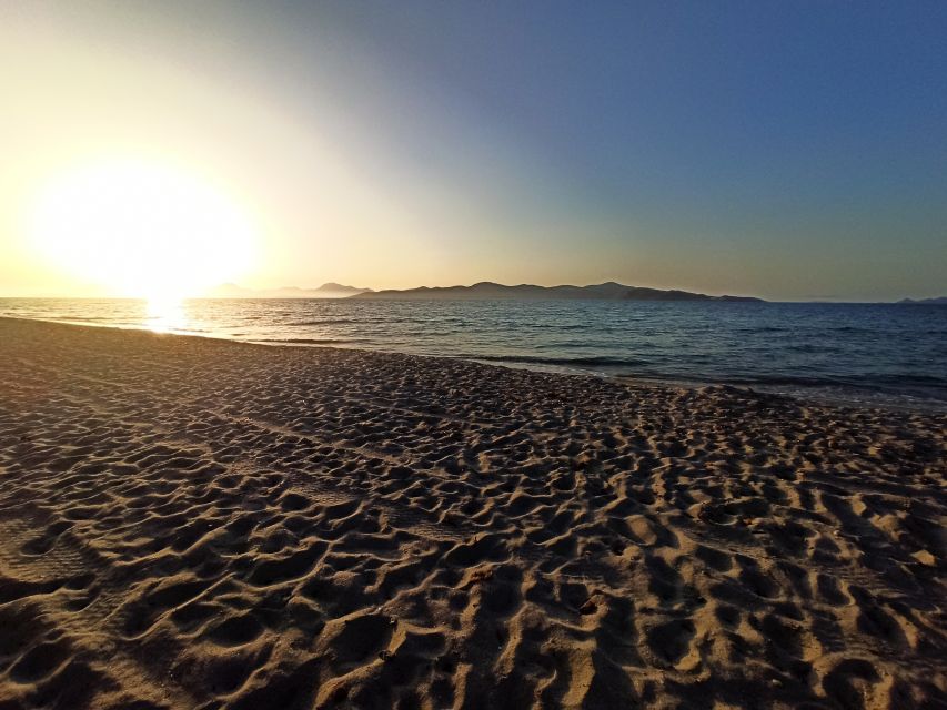 Kos: Horse Riding Experience on the Beach with Instructor - Key points at a glance