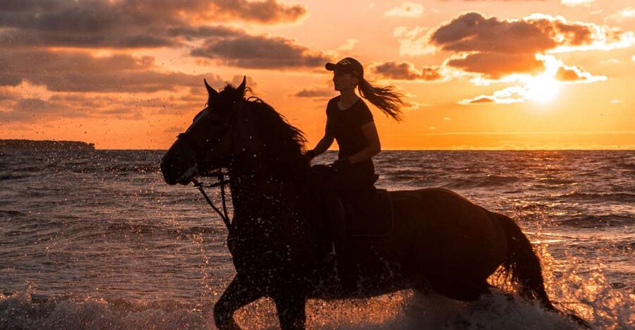 Kos: Horse Riding Experience on the Beach with Instructor - From hotel pickup to the Tigaki stable