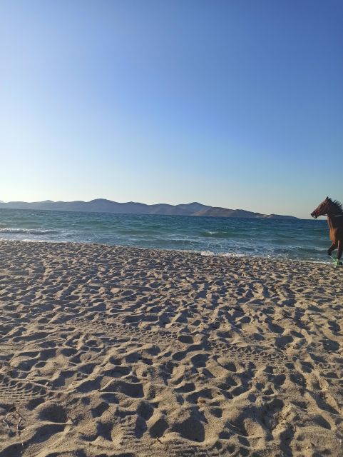 Kos: Horse Riding Experience on the Beach with Instructor - Around the salt lake before the beach
