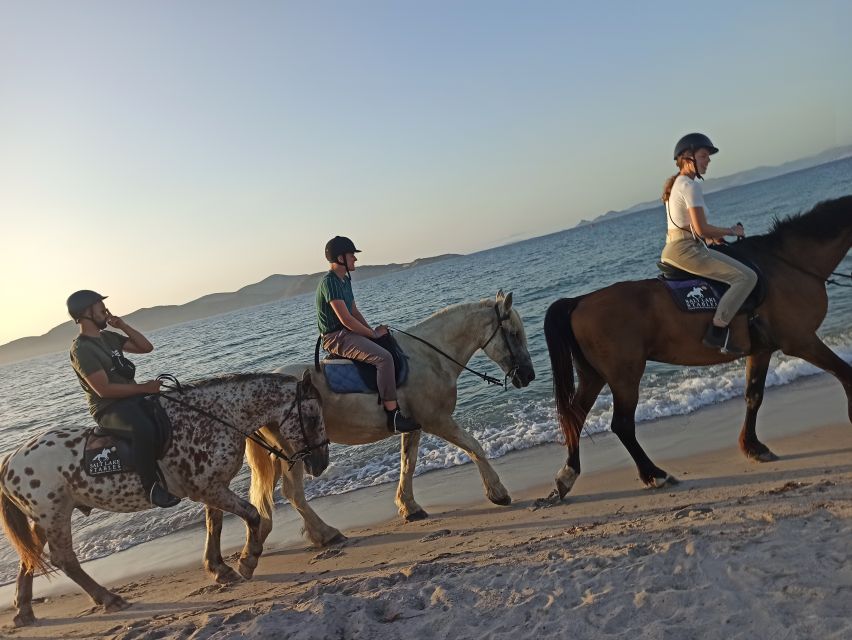 Kos: Horse Riding Experience on the Beach with Instructor - Walking, trotting, and riding at your level