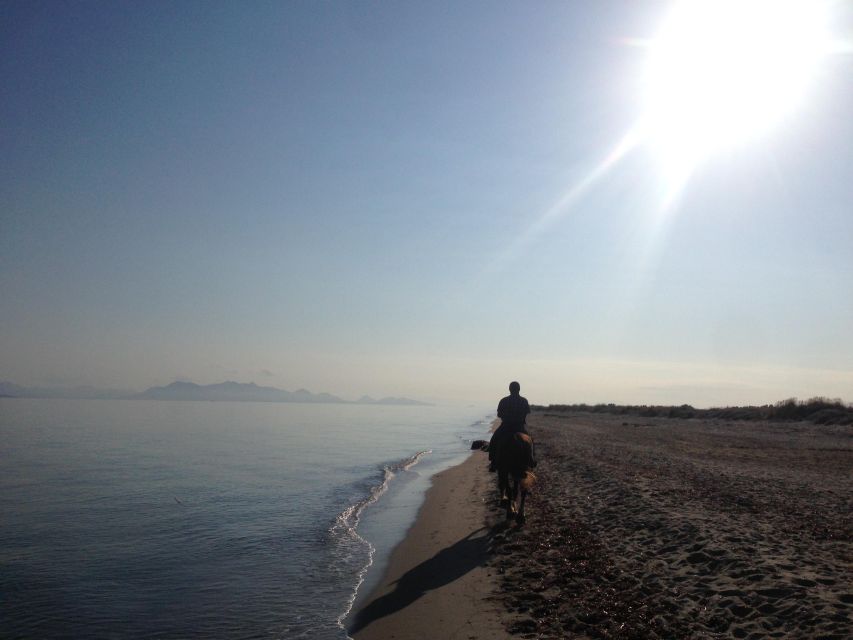 Kos: Horse Riding Experience on the Beach with Instructor - The return to the stable