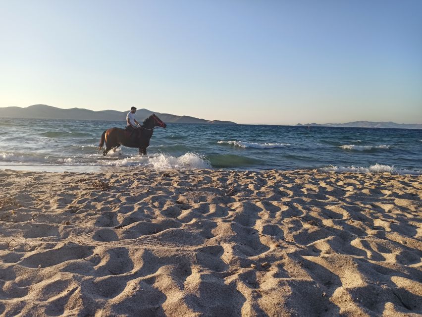 Kos: Horse Riding Experience on the Beach with Instructor - Is $88 a fair price?
