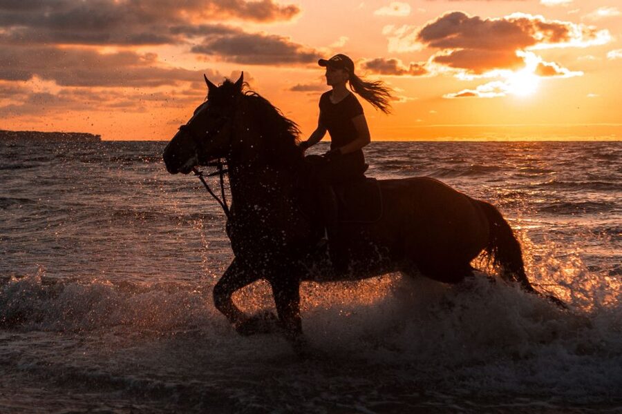 Kos: Horse Riding Experience on the Beach with Instructor - Meeting the horses and learning the basics