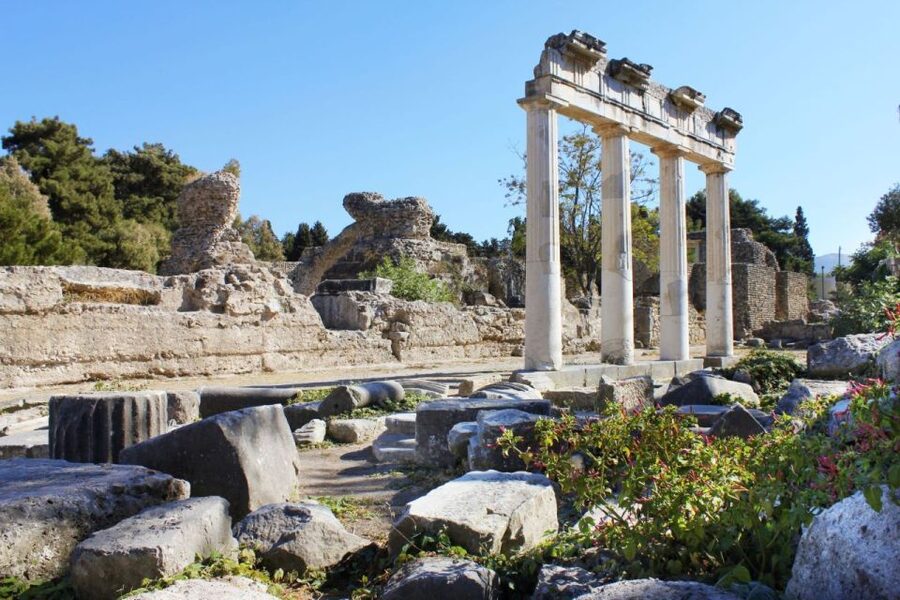 Kos: Island Highlights Bus Tour with Greek Honey Tasting - Who will get the most from the $53 price?