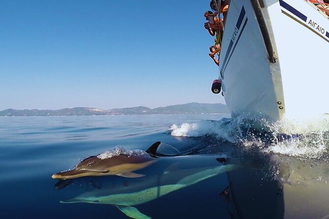 Kos: Small Group Full-Day Sailing with Meal, Drinks, & Swim - Pserimos: a quiet island stop by boat