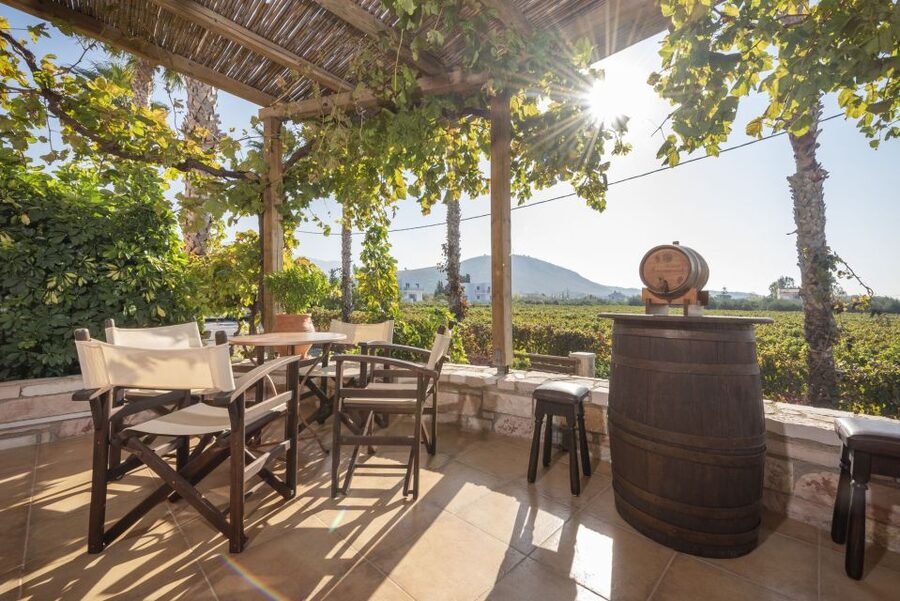 Kos: Wineries Tour w/ Wine Tastings & Transportation - Hatziemmanouil Vineyards in Tigaki