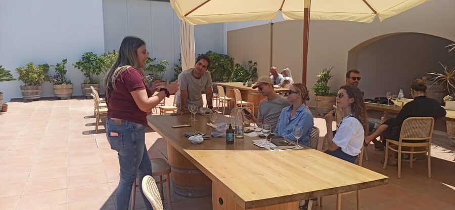 Kos: Wineries Tour w/ Wine Tastings & Transportation - The wine selection and buying bottles