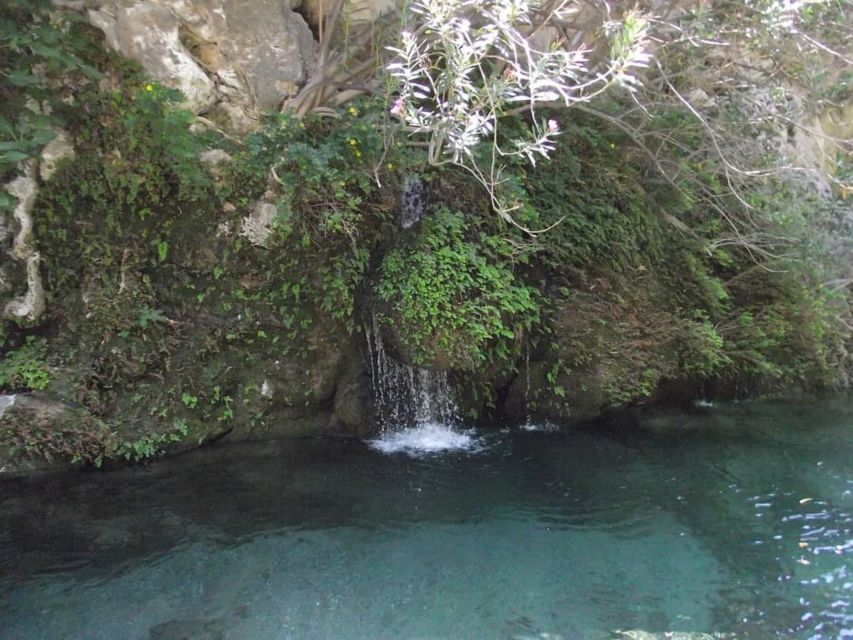 Kourtaliotiko Gorge: Guided River Trekking with Lunch - Who should book this activity