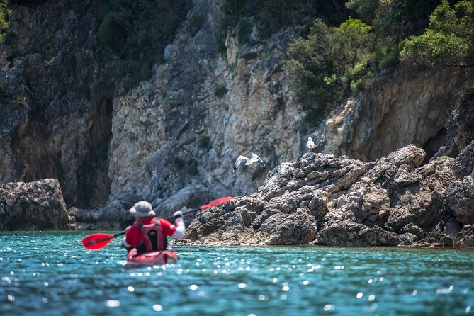 Lefkada Kayak : Explore Blue Cave with a Taste of Greece - The paddle back and the four-hour pace