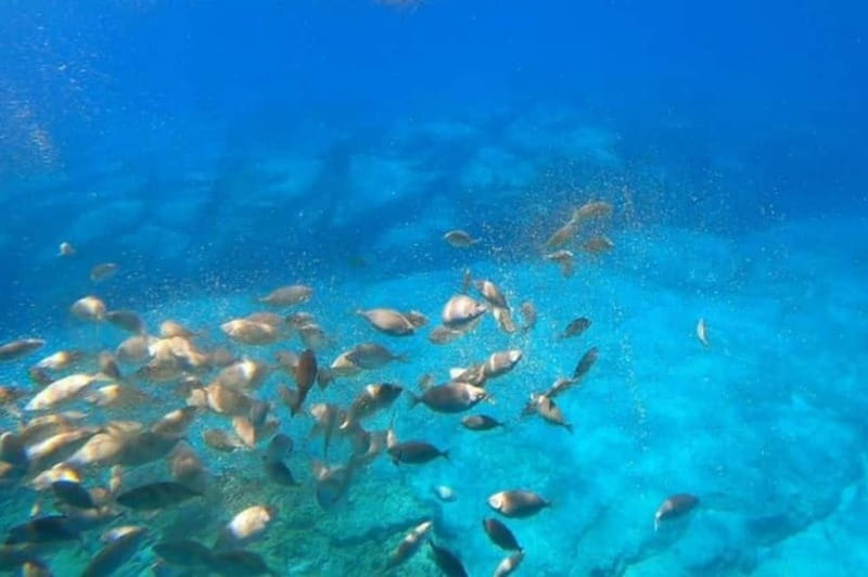 Lindos: Submarine Cruise with Swimming Stop at Navarone Bay - Key points to know before booking