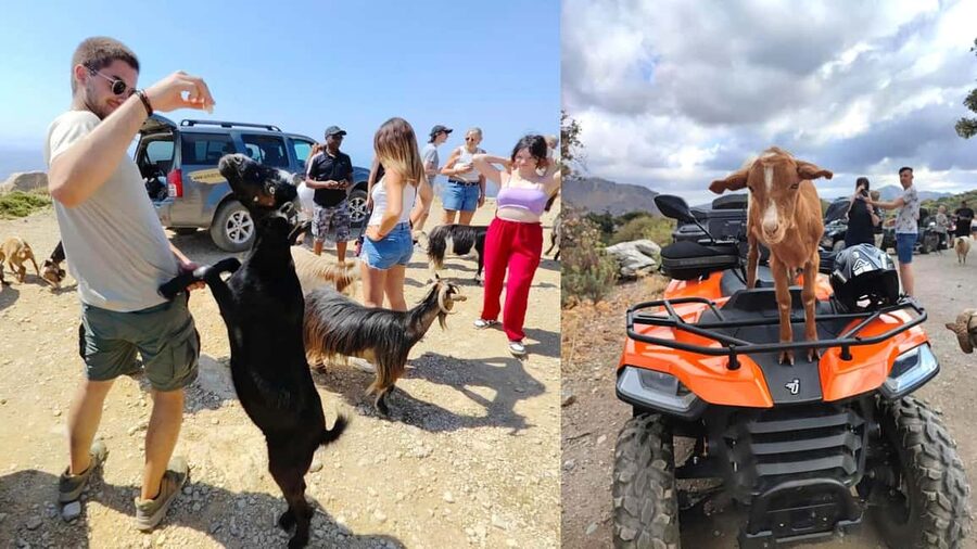 Malia: Off-Road Quad Safari Tour with Lunch and Transfers - What makes this Crete quad safari worth considering