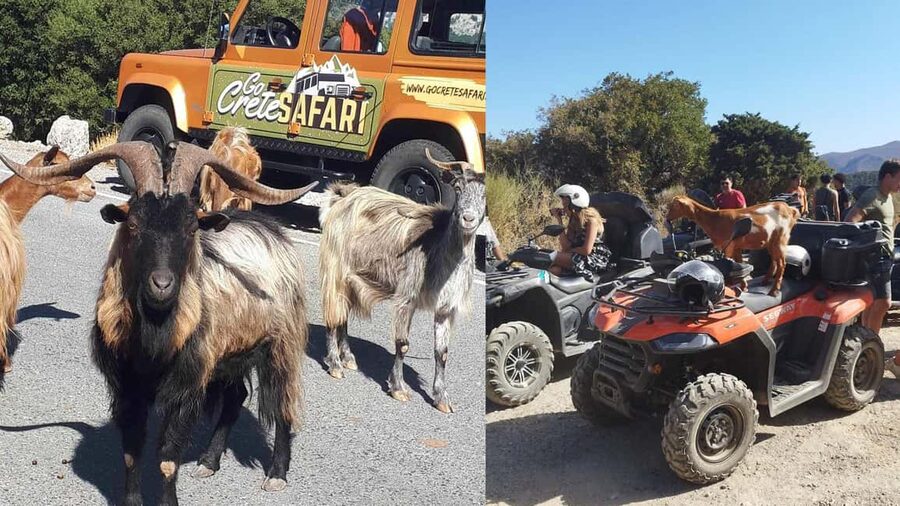 Malia: Off-Road Quad Safari Tour with Lunch and Transfers - Vrachasi: coffee, views, and a traditional village