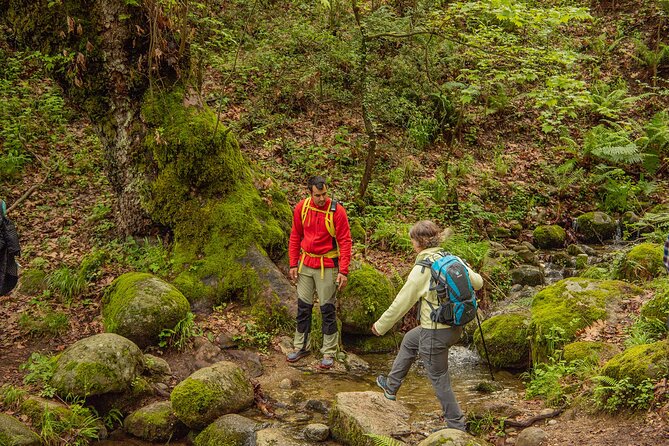 Meteora Small Group Hiking tour with Transfer and Monastery Visit - How difficult is the hike?