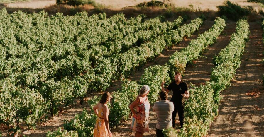Milos Island: Kostantakis Winery Wine Tasting Experience - Traditional equipment and a look behind the wine