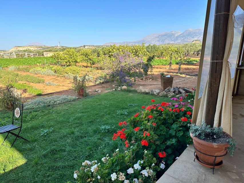 Moires: Cooking Class and Olive Oil Tasting at a Family Farm - What the $100 price includes