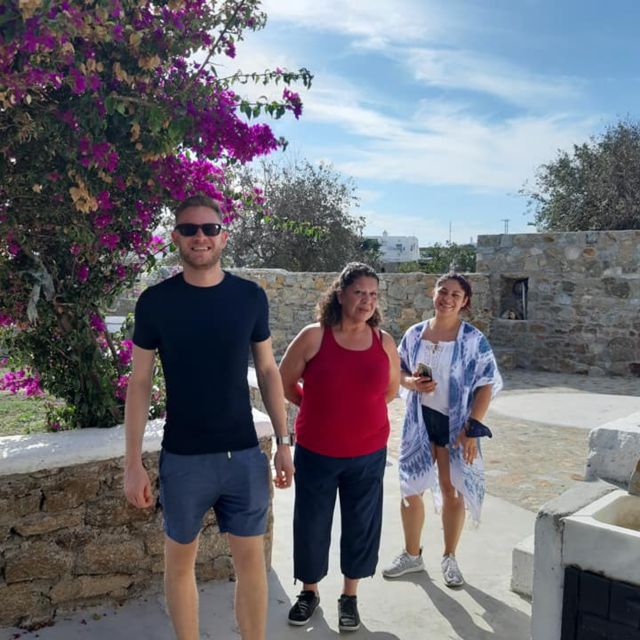 Mykonos: Farm, Ano Mera Village, and Beaches Guided Tour - Guides, vans, and the practical side