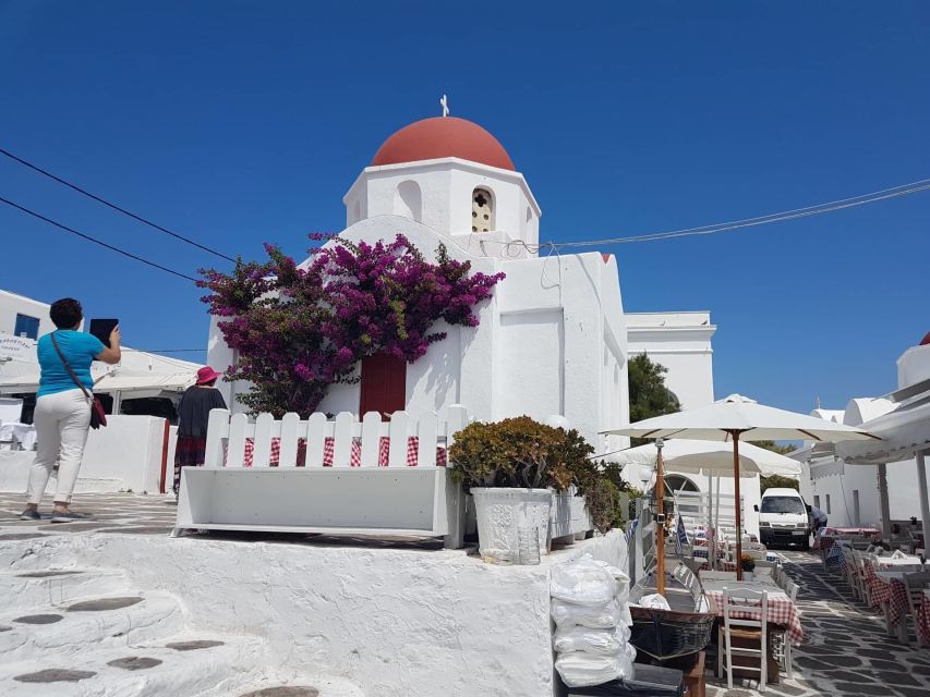 Mykonos: Full-Day Sightseeing Tour with Lunch - Who should book this Mykonos tour?