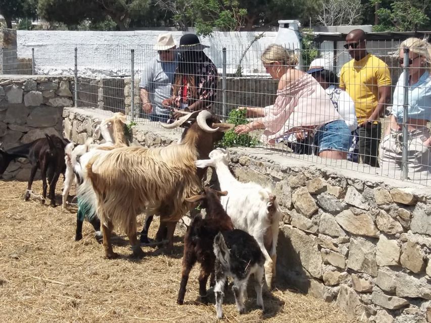 Mykonos: Full-Day Sightseeing Tour with Lunch - The Mykonian Farm lunch