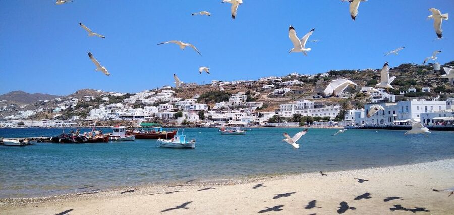 Mykonos: Highlights Tour with Panagia Tourliani Monastery - Who Should Book This Mykonos Tour?