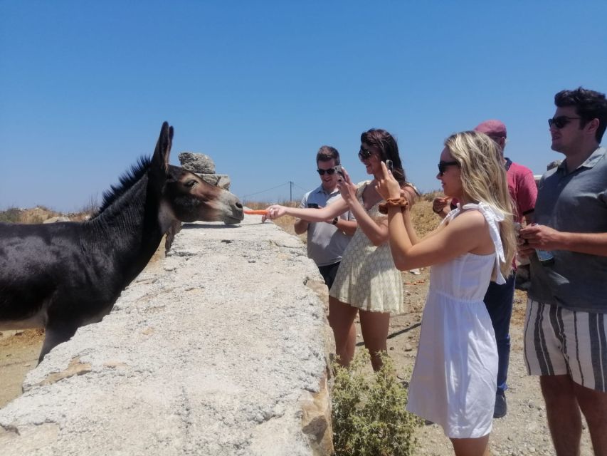 Mykonos: Highlights Tour with Panagia Tourliani Monastery - Why This Half-Day Mykonos Tour Works