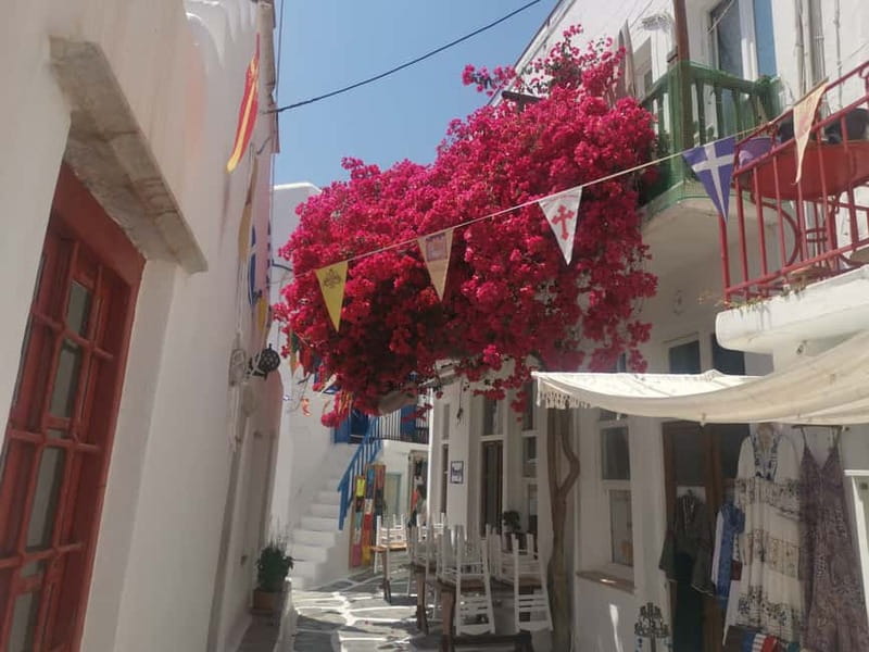 Mykonos: Private Tour with Range Rover - Comfort, group size, and accessibility