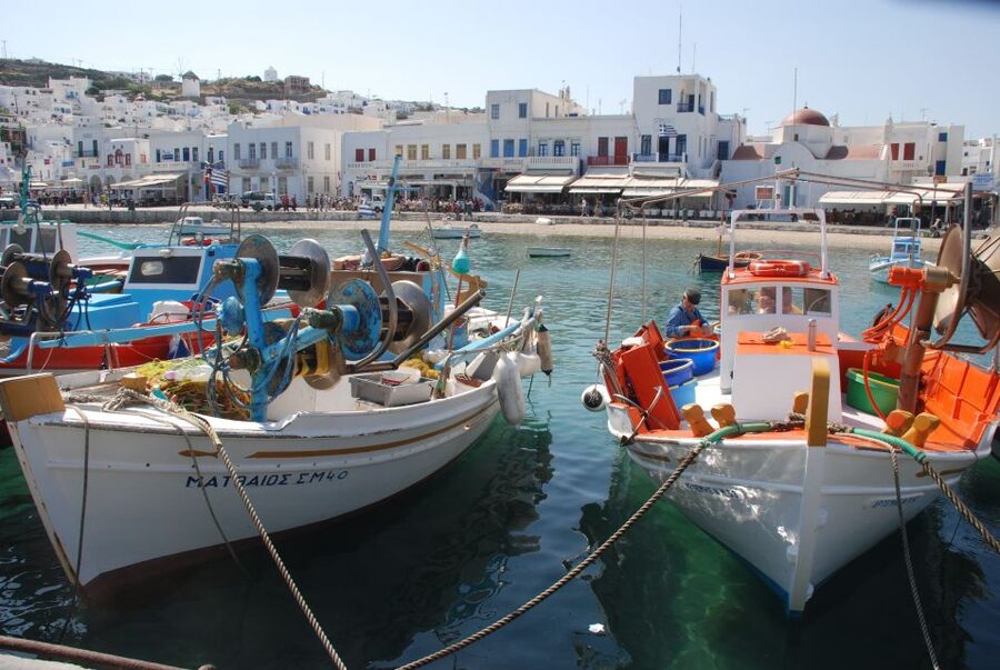Mykonos Shore Excursion: City & Island Tour - Who should book this Mykonos excursion?