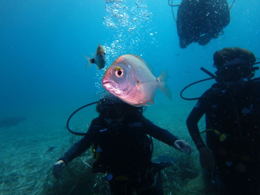 Naxos: Discover Scuba Diving - Your first experience diving - Why Agios Prokopios is a smart place to begin
