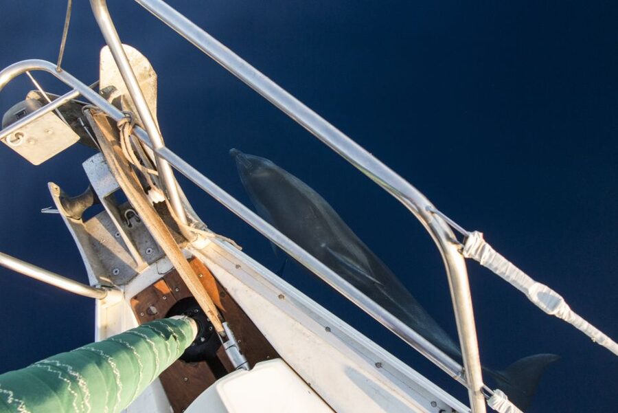Naxos: Full-Day Small Cyclades Sailing Cruise - Practical advice before you go