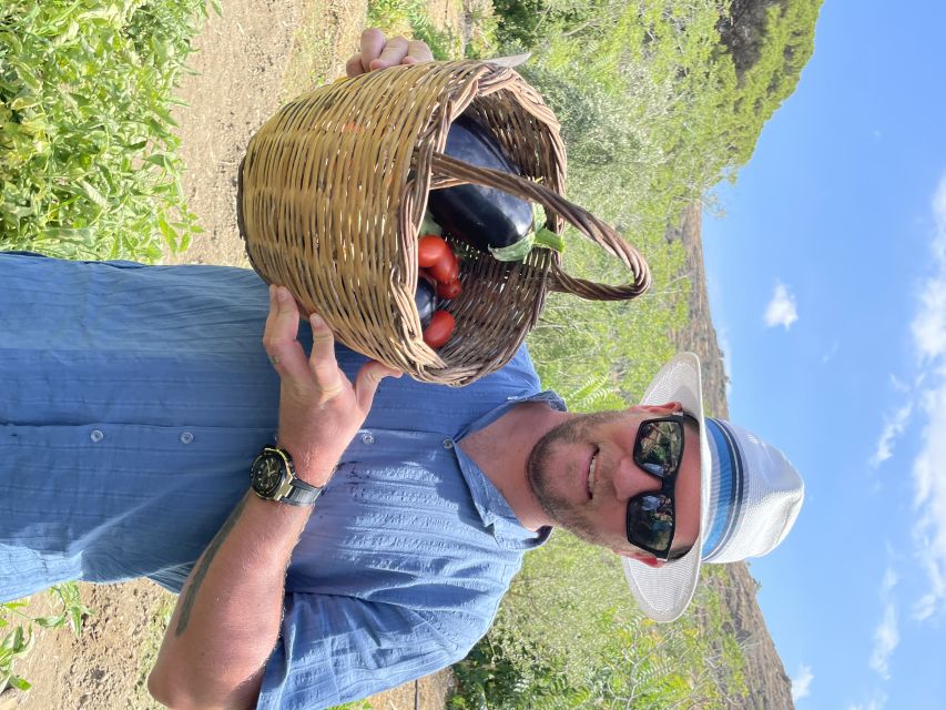 Naxos: Half-Day Cooking Class at Basiliko Family Tavern - Who Will Enjoy This Most