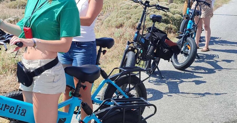 Naxos: Private E-Bike Tour with Farm Lunch - Guides, group size, and the personal touch