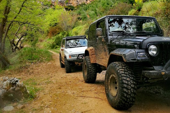 Off Road Experience from the Mountain to the Sea - Who Will Enjoy This Private 4x4 Tour